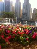 Весна в Дубаи