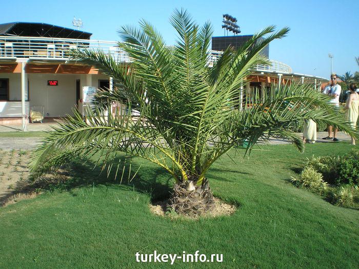 BARUT HOTELS LARA RESORT SUITES & SPA, Турция