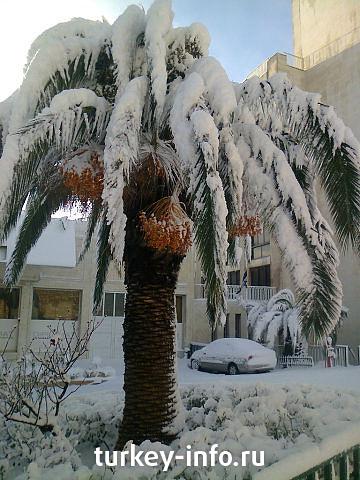 Зима в Израиле 2013)))