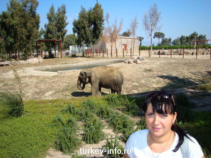 Измир. Природный парк. Я и слоник.