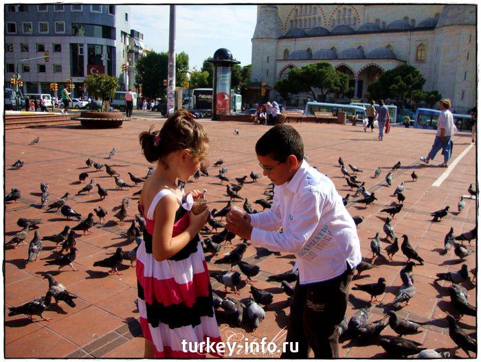 Стамбул.    поделиться и покормить птиц ...
