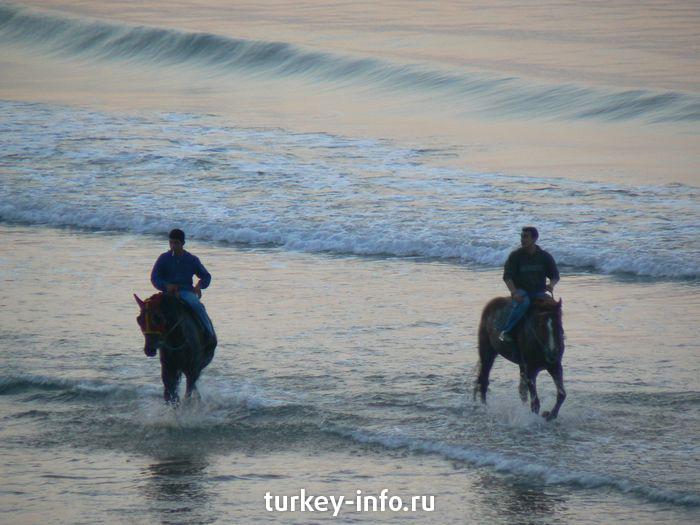 Всадники на берегу Черного моря