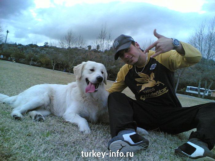 bora with dog=)))
